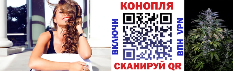 Купить где  Миллерово  Канабис семена 